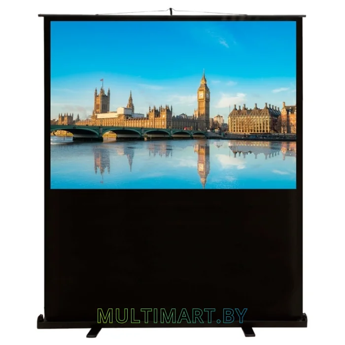 Проекционный экран CACTUS FloorCompactExpert 68x120 (CS-PSFLCE-120X68)